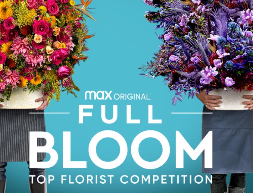 Moët Hennessy x HBO Max